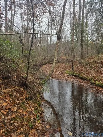 a view of wooden floor with a tree in in background