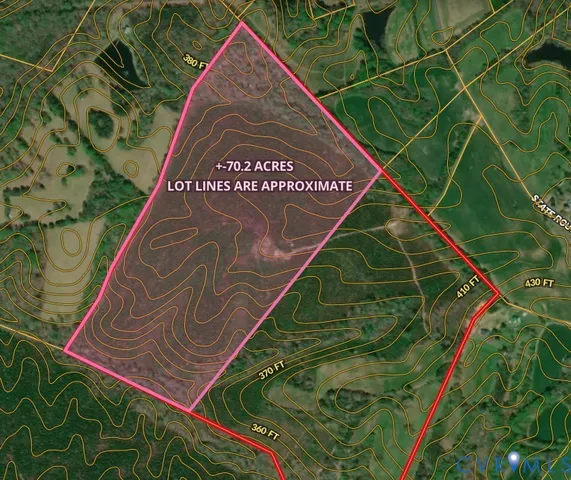 a view of a tree with a tree in front of it