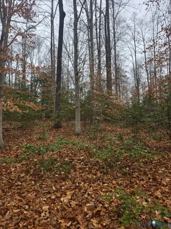 $441,000 | 0 Tabscott Road, Kents Store, VA 23084