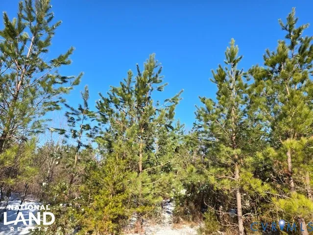 a view of a yard with a tree