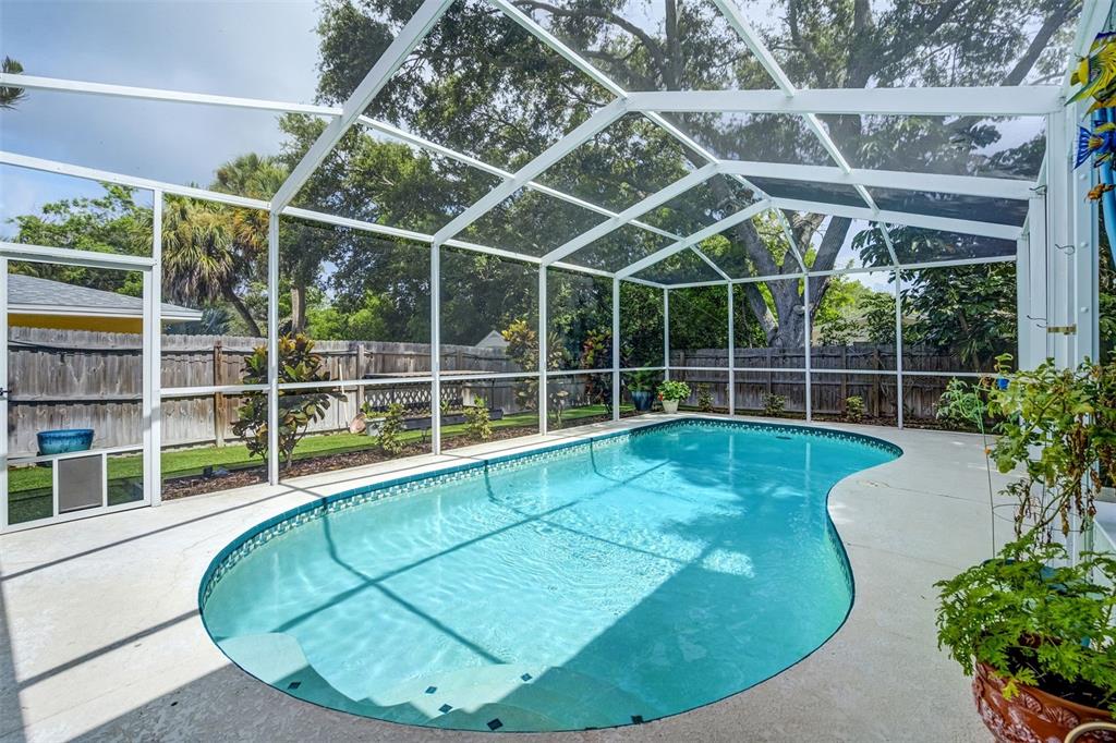 326 Mehlenbacher Road Belleair, FL 33756 - Photo 22 of 31
