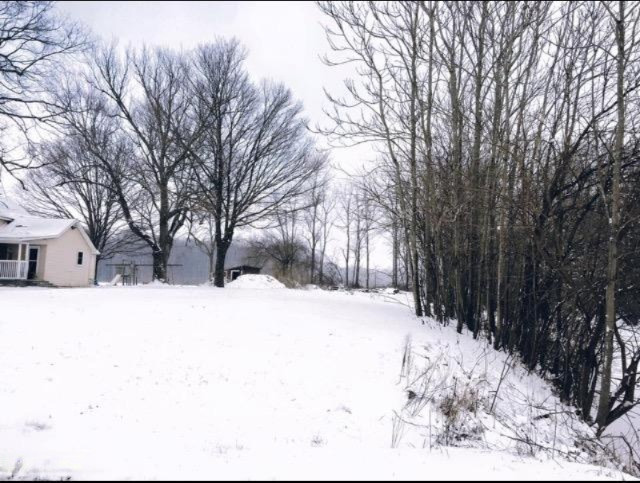 62901 Middle Colon Road Burr Oak, MI 49030 - Photo 2 of 5 image1