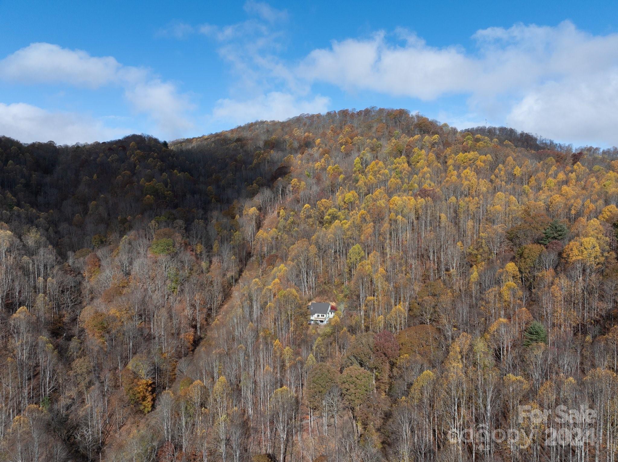 506 Rabbit Run Marshall, NC 28753 - Photo 28 of 30 Gallery Image 28