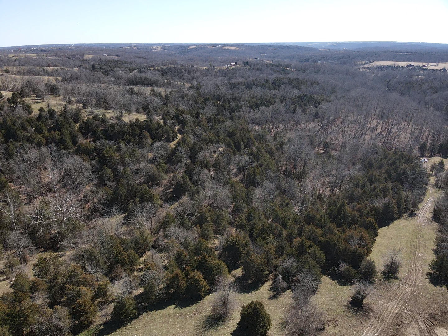 13489 Peach Grove Road California, KY 41007 - Photo 10 of 50 Gallery Image 10
