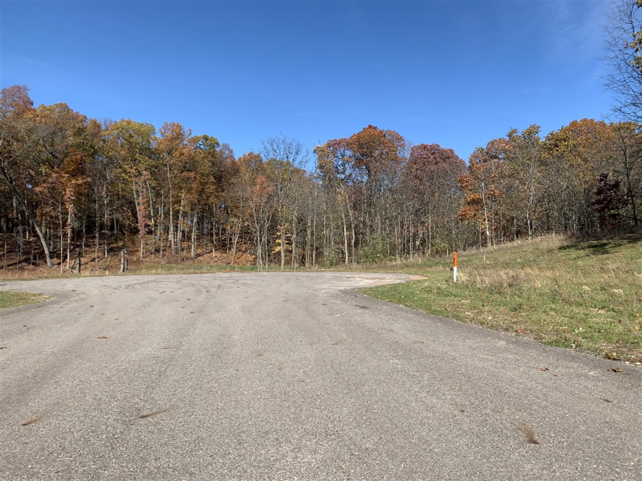 2864 Kissing Ridge Drive Southeast Lowell, MI 49331 - Photo 4 of 6
