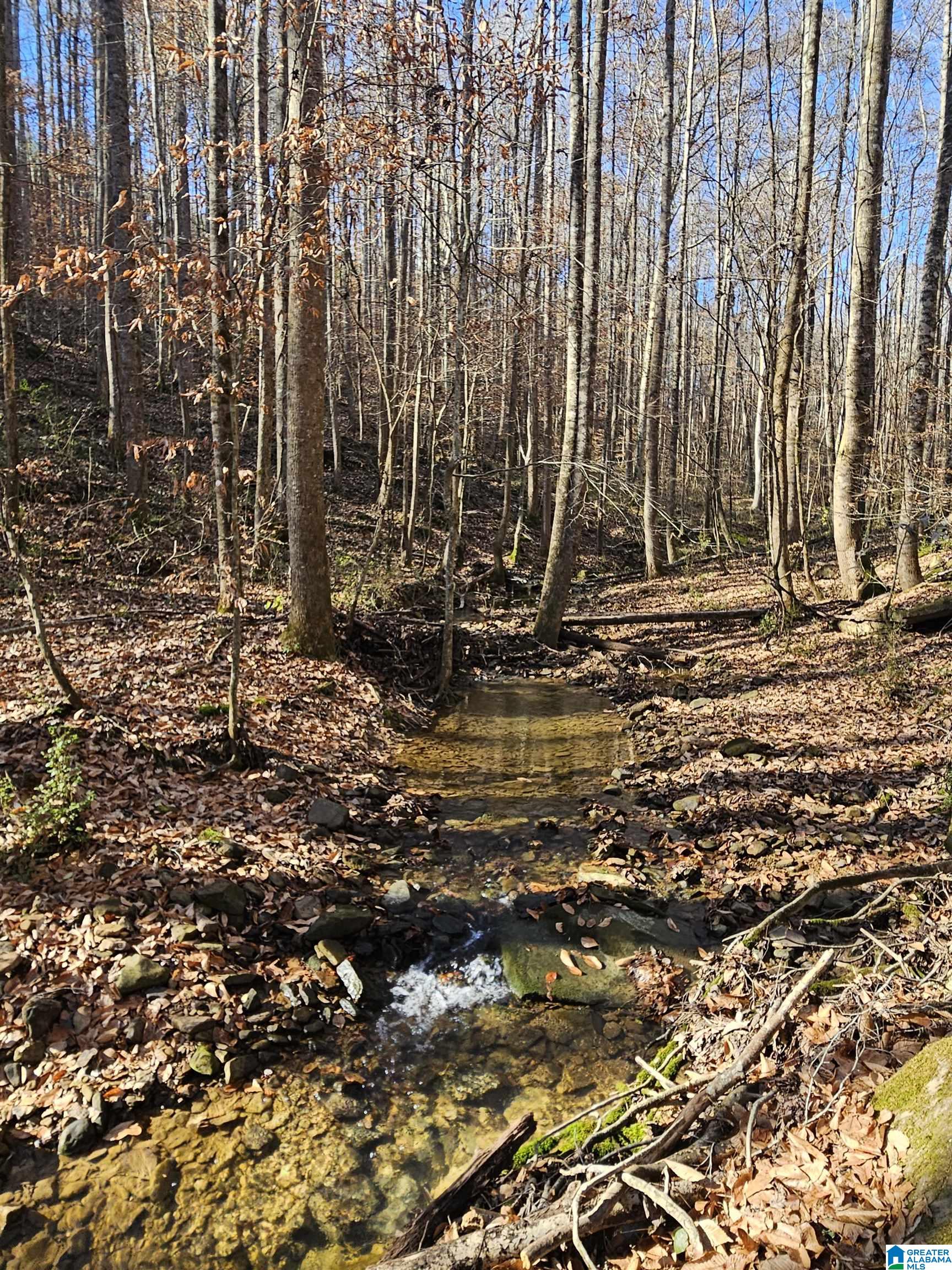 682 County Road 832 Logan, AL 35098 - Photo 46 of 48