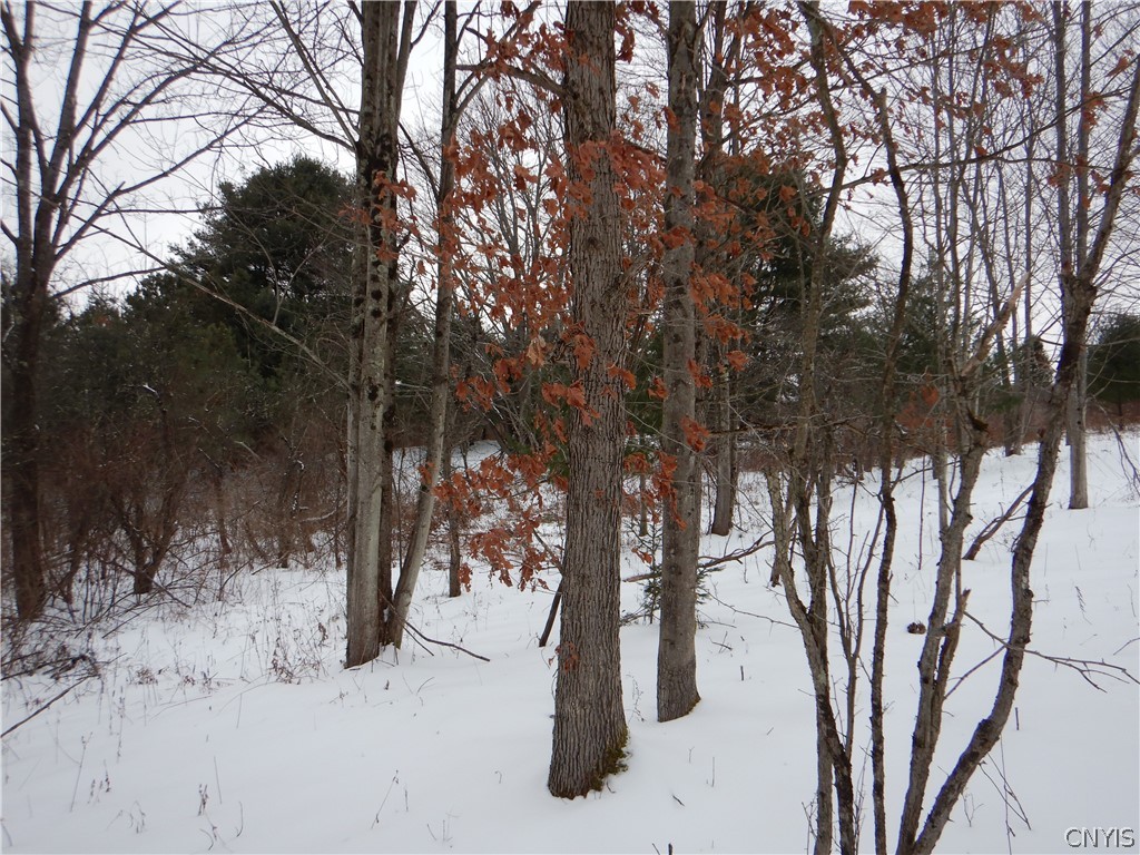 Newark Valley Newark Valley, NY 13811 - Photo 11 of 37