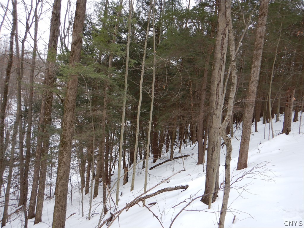 Newark Valley Newark Valley, NY 13811 - Photo 12 of 37