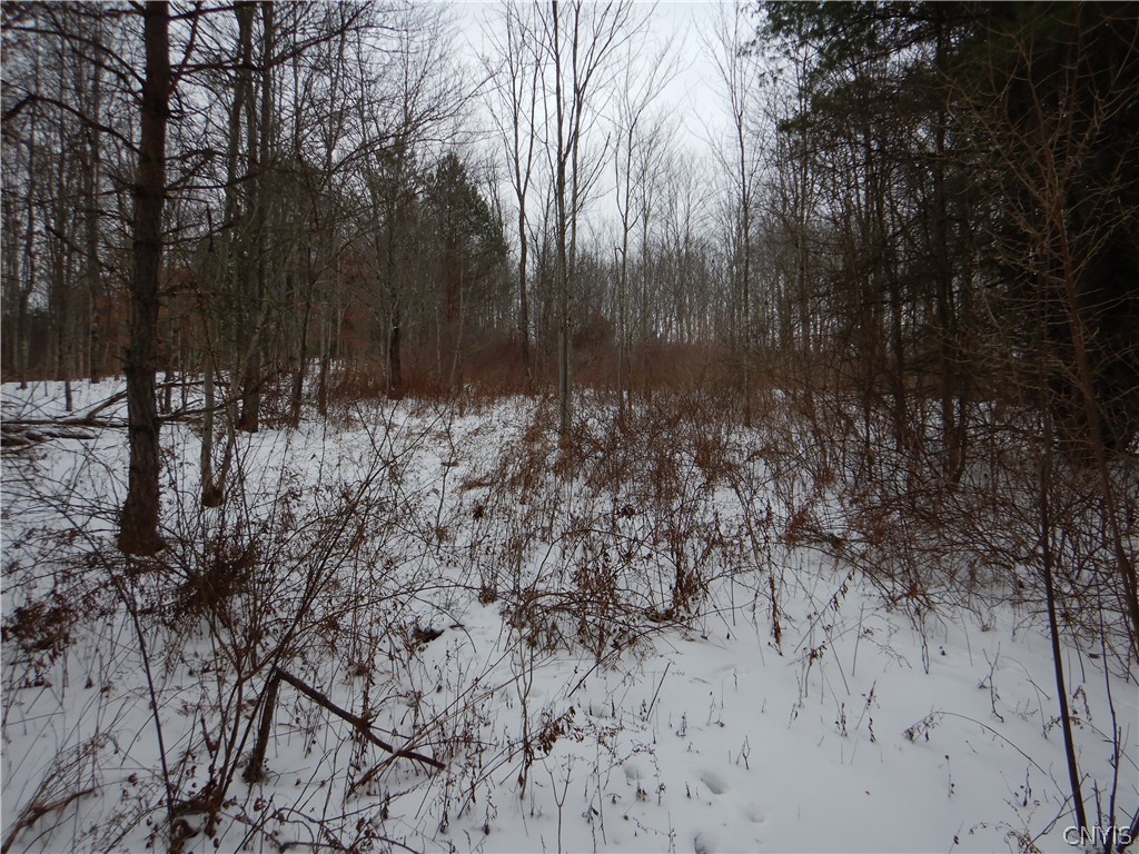 Newark Valley Newark Valley, NY 13811 - Photo 13 of 37