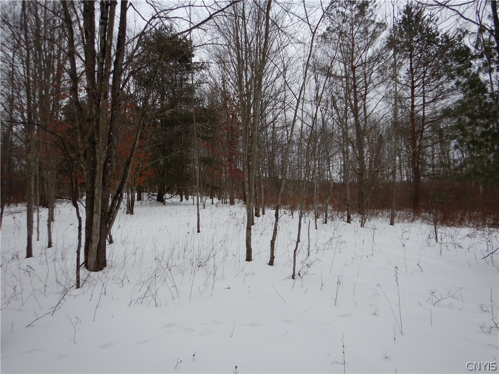 Newark Valley Newark Valley, NY 13811 - Photo 14 of 37