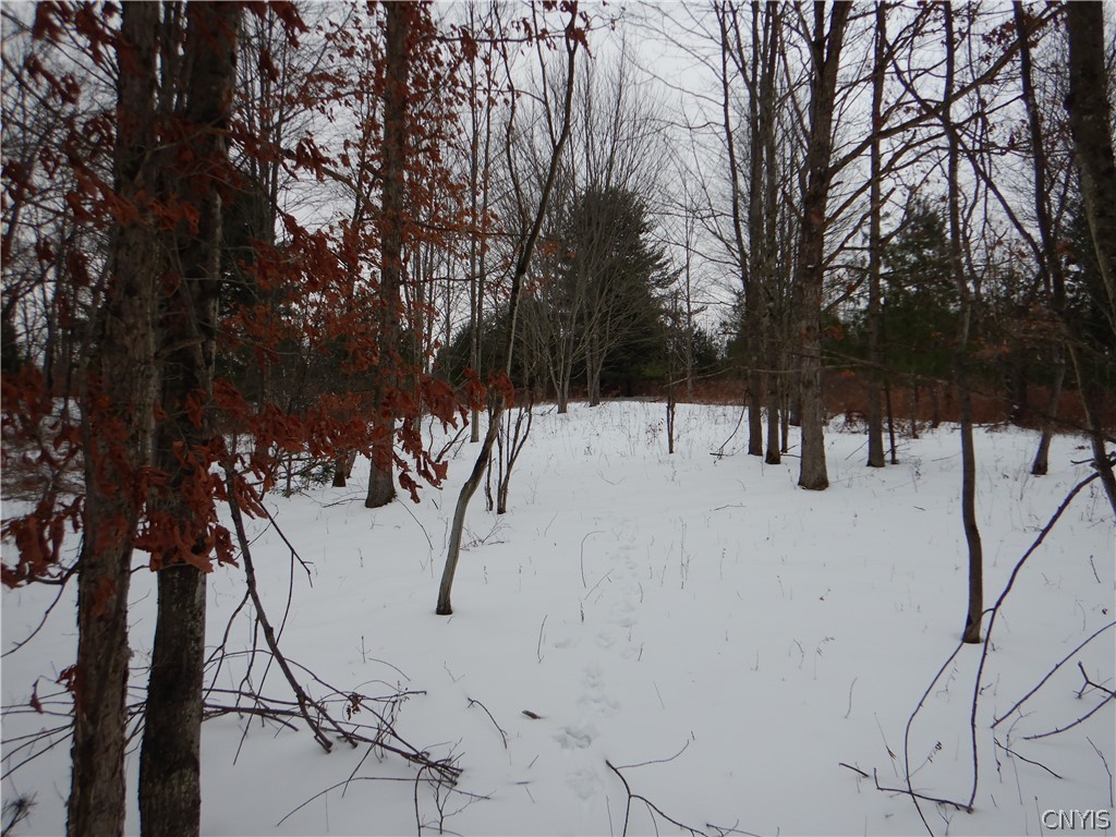 Newark Valley Newark Valley, NY 13811 - Photo 15 of 37