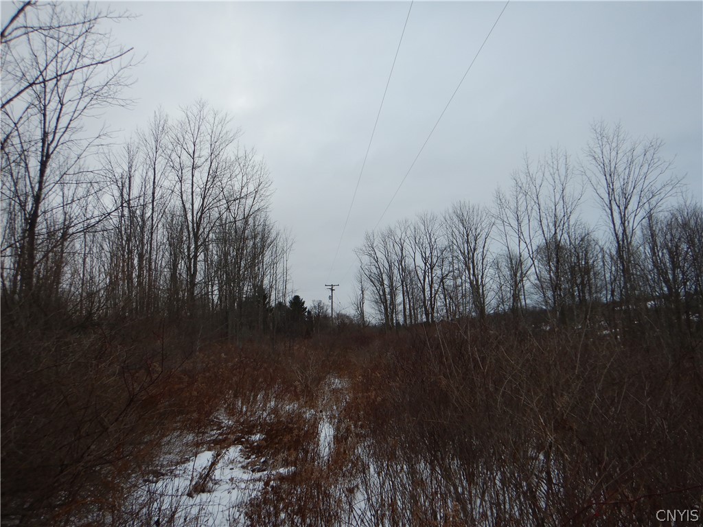 Newark Valley Newark Valley, NY 13811 - Photo 17 of 37