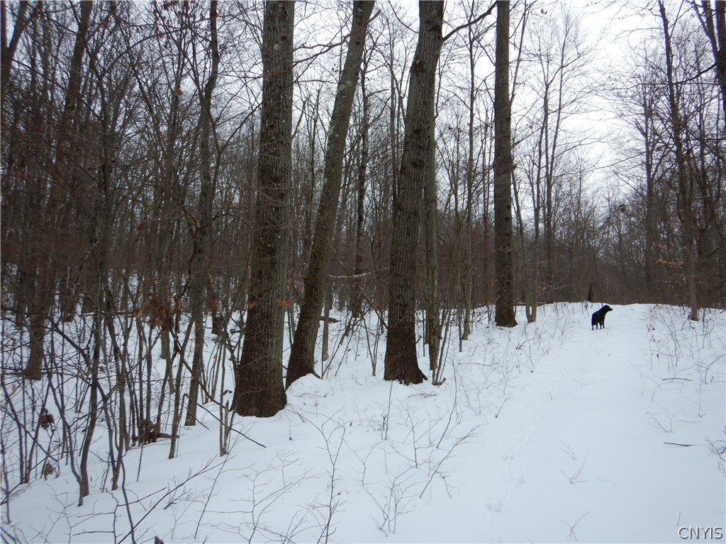 Newark Valley Newark Valley, NY 13811 - Photo 18 of 37