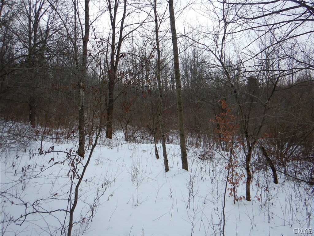 Newark Valley Newark Valley, NY 13811 - Photo 19 of 37