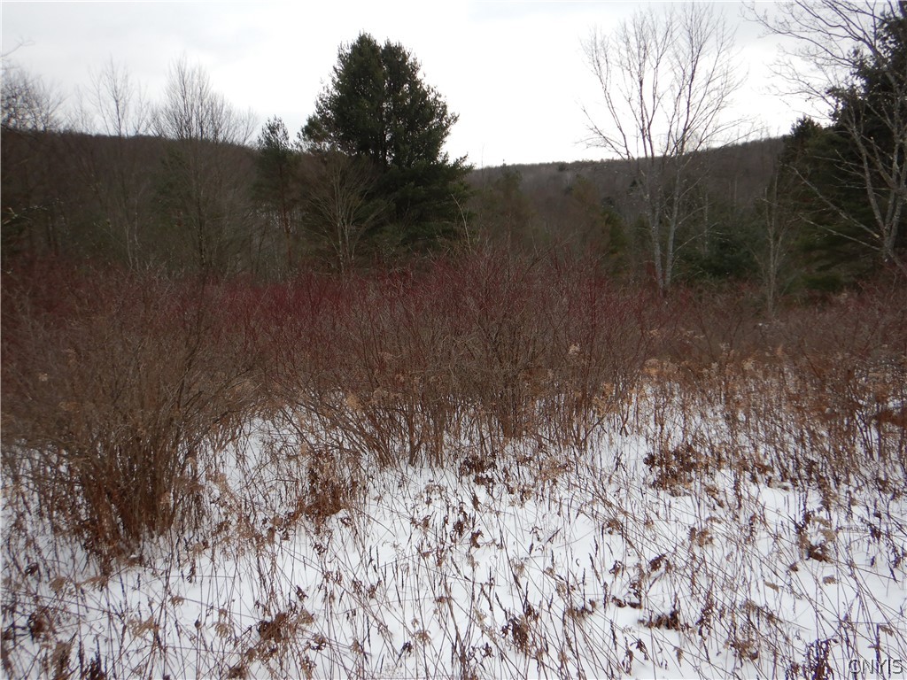 Newark Valley Newark Valley, NY 13811 - Photo 20 of 37