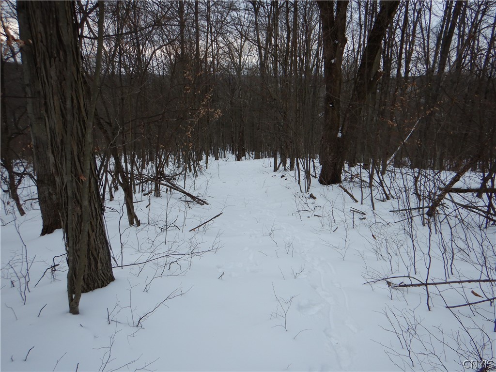 Newark Valley Newark Valley, NY 13811 - Photo 23 of 37