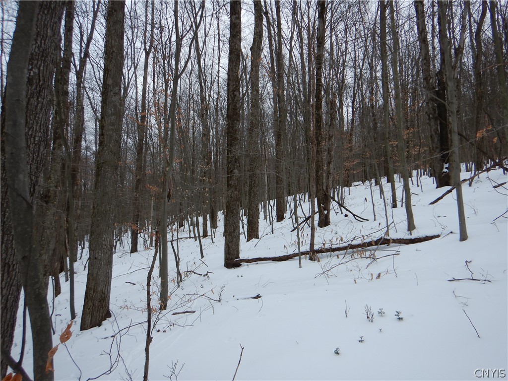 Newark Valley Newark Valley, NY 13811 - Photo 24 of 37