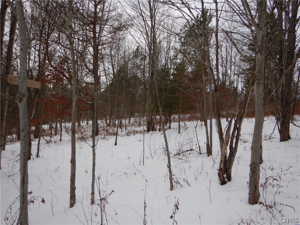 Newark Valley Newark Valley, NY 13811 - Photo 25 of 37