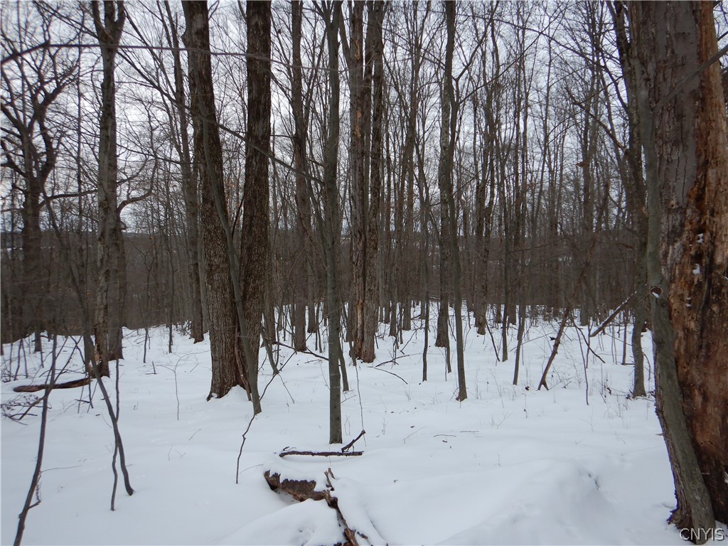 Newark Valley Newark Valley, NY 13811 - Photo 27 of 37