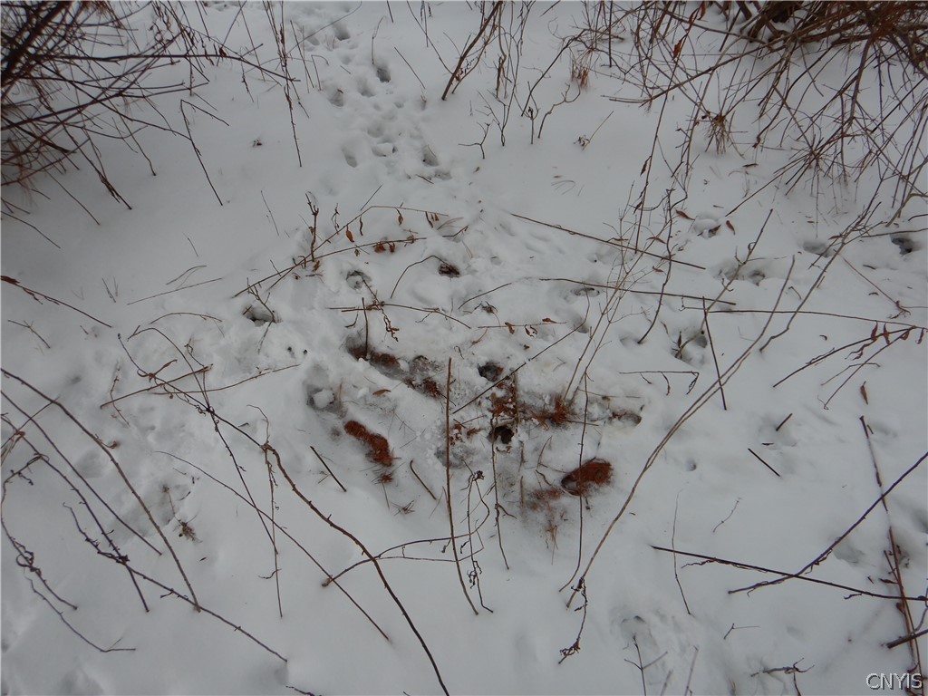 Newark Valley Newark Valley, NY 13811 - Photo 28 of 37