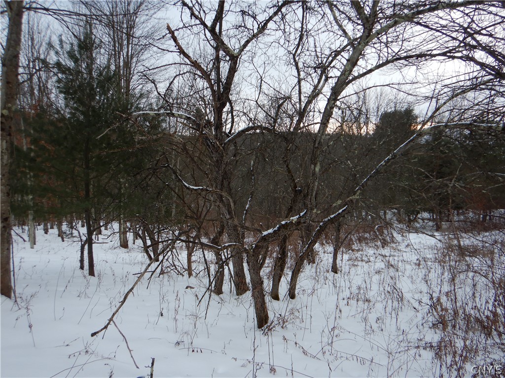 Newark Valley Newark Valley, NY 13811 - Photo 29 of 37