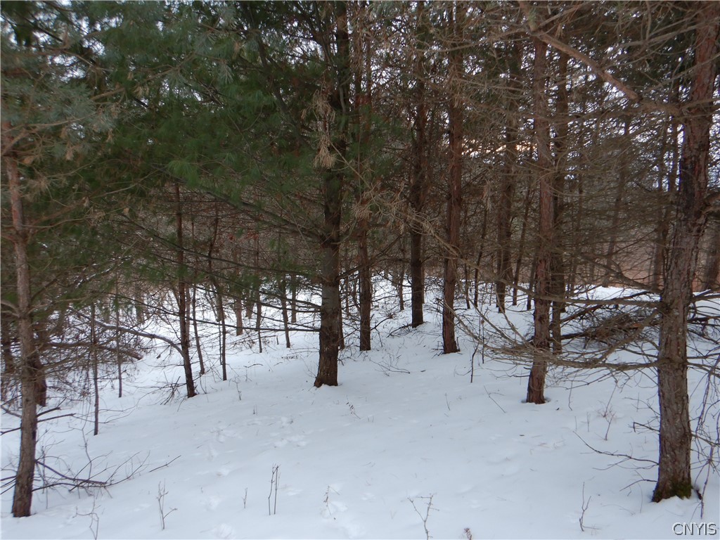 Newark Valley Newark Valley, NY 13811 - Photo 30 of 37