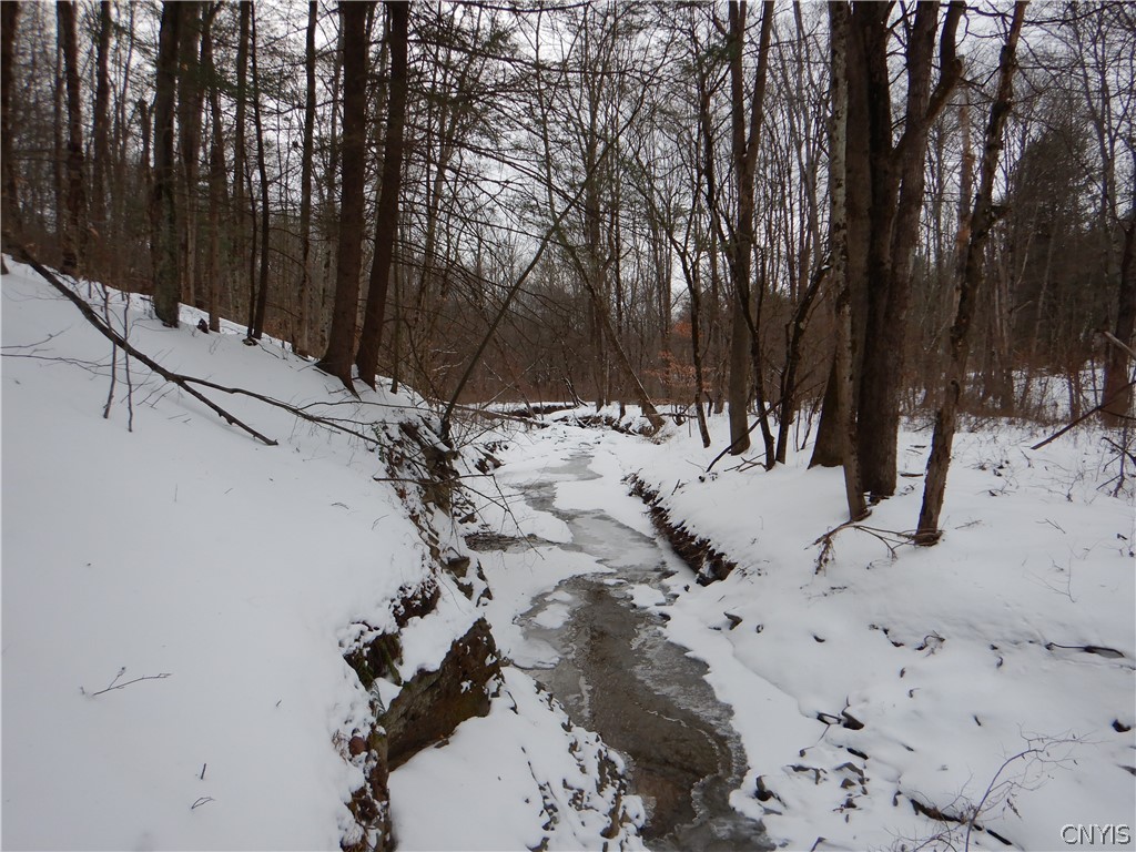 Newark Valley Newark Valley, NY 13811 - Photo 3 of 37