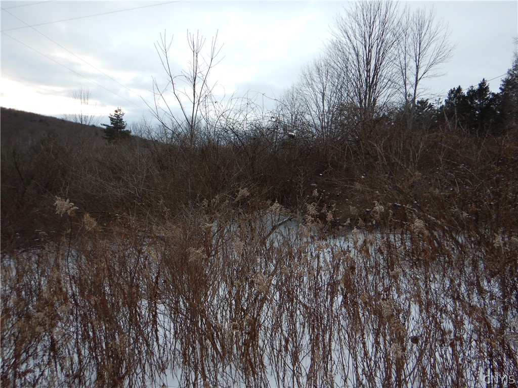 Newark Valley Newark Valley, NY 13811 - Photo 31 of 37