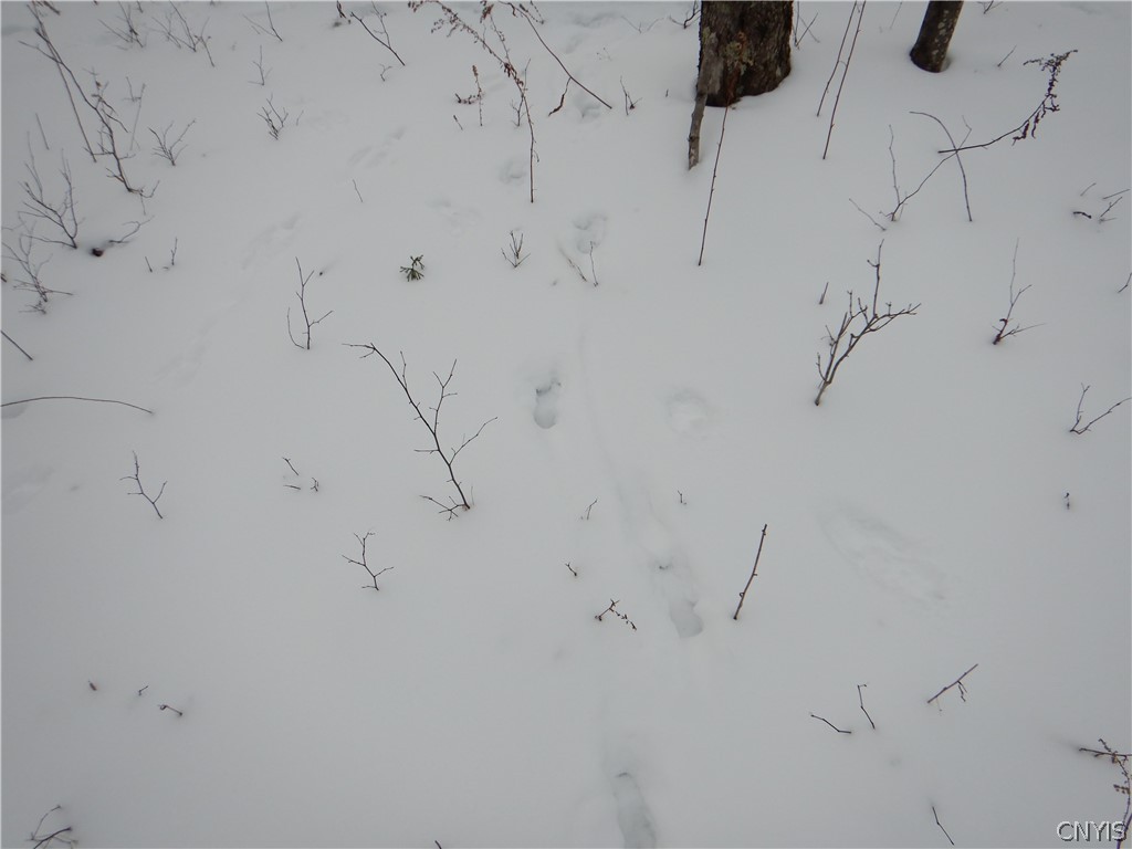 Newark Valley Newark Valley, NY 13811 - Photo 32 of 37