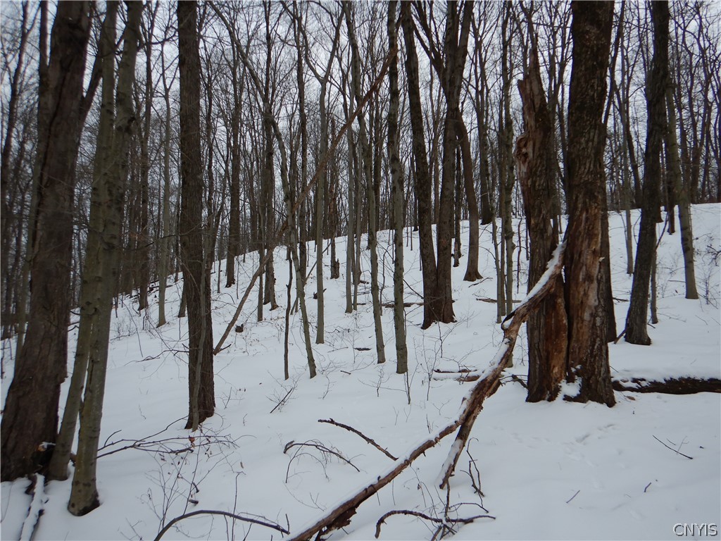 Newark Valley Newark Valley, NY 13811 - Photo 33 of 37