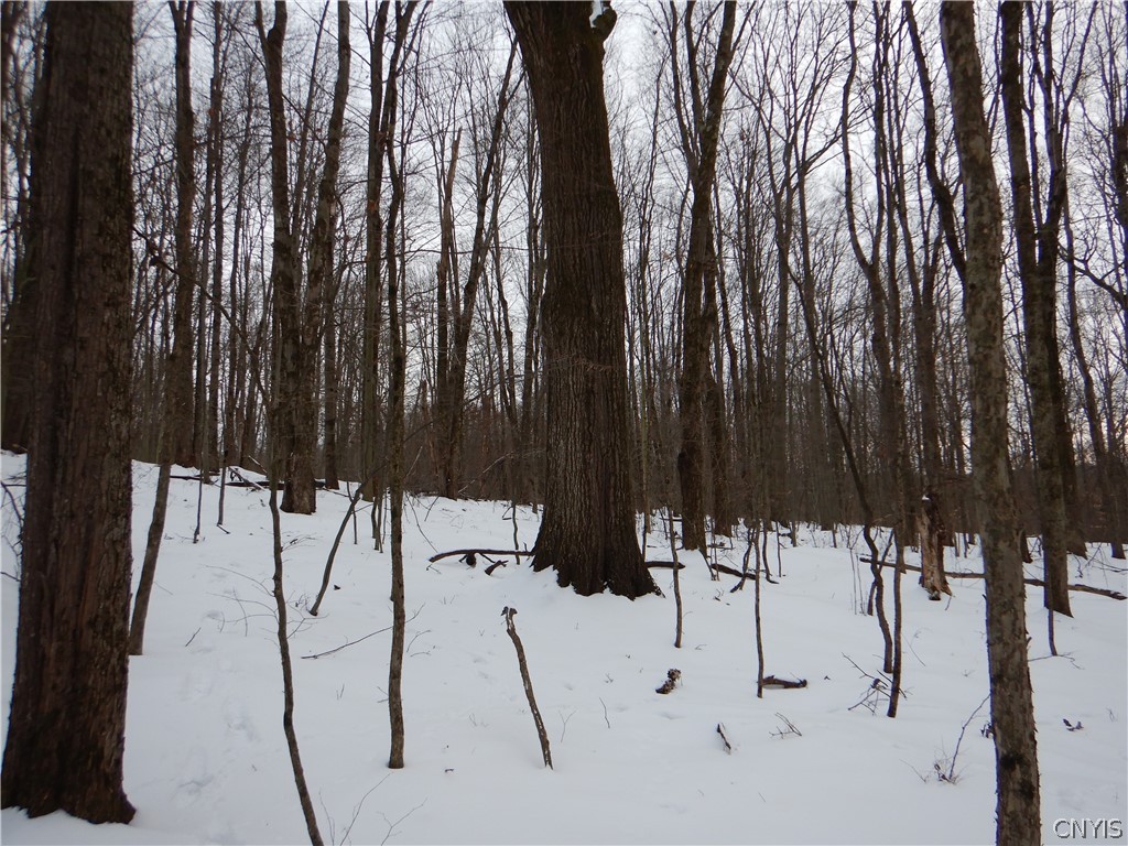 Newark Valley Newark Valley, NY 13811 - Photo 34 of 37