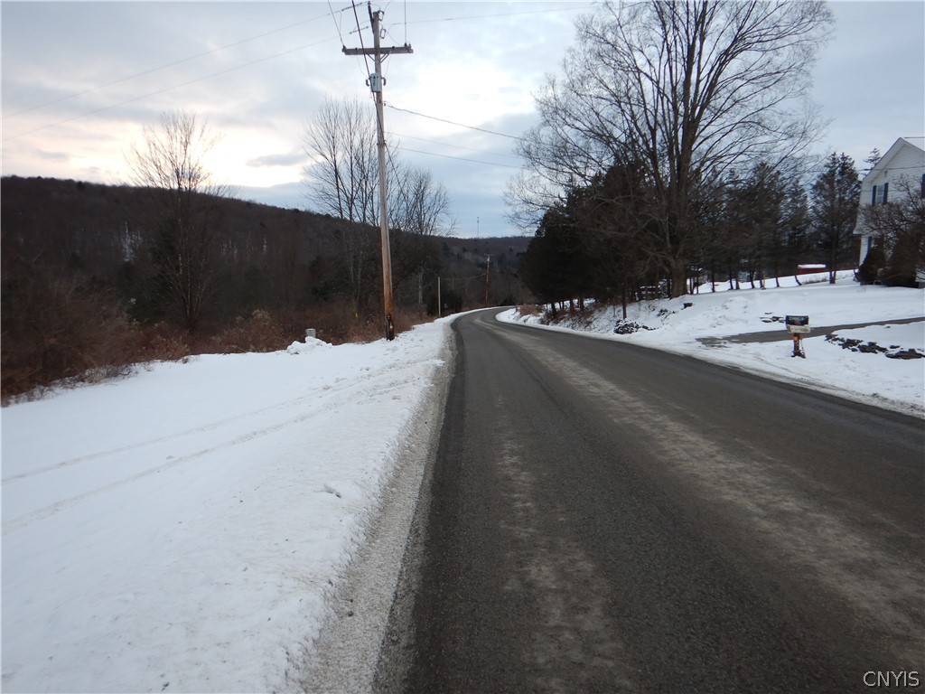 Newark Valley Newark Valley, NY 13811 - Photo 35 of 37