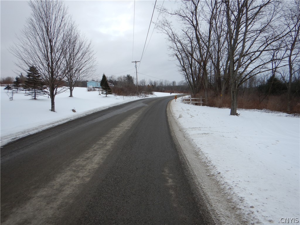 Newark Valley Newark Valley, NY 13811 - Photo 36 of 37