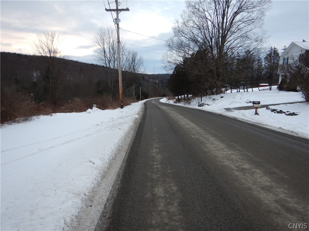 Newark Valley Newark Valley, NY 13811 - Photo 37 of 37