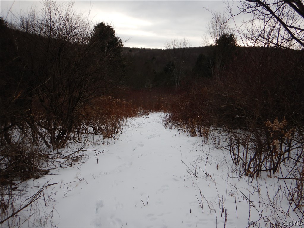 Newark Valley Newark Valley, NY 13811 - Photo 5 of 37