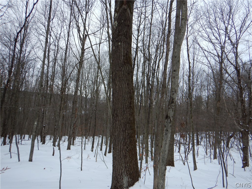 Newark Valley Newark Valley, NY 13811 - Photo 6 of 37