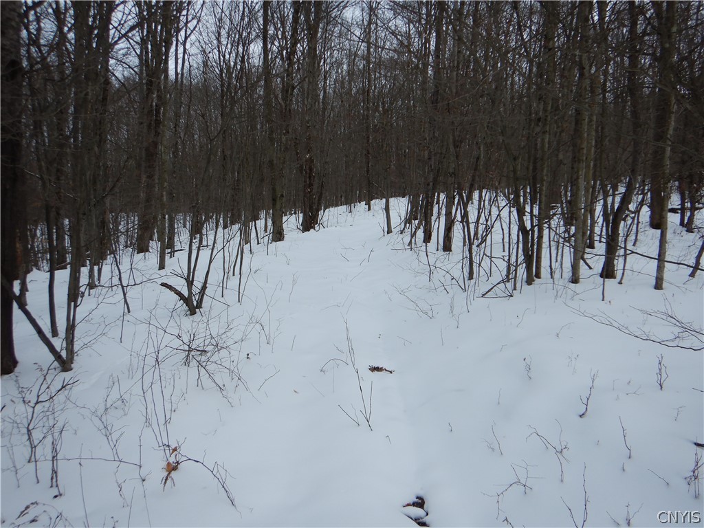 Newark Valley Newark Valley, NY 13811 - Photo 7 of 37