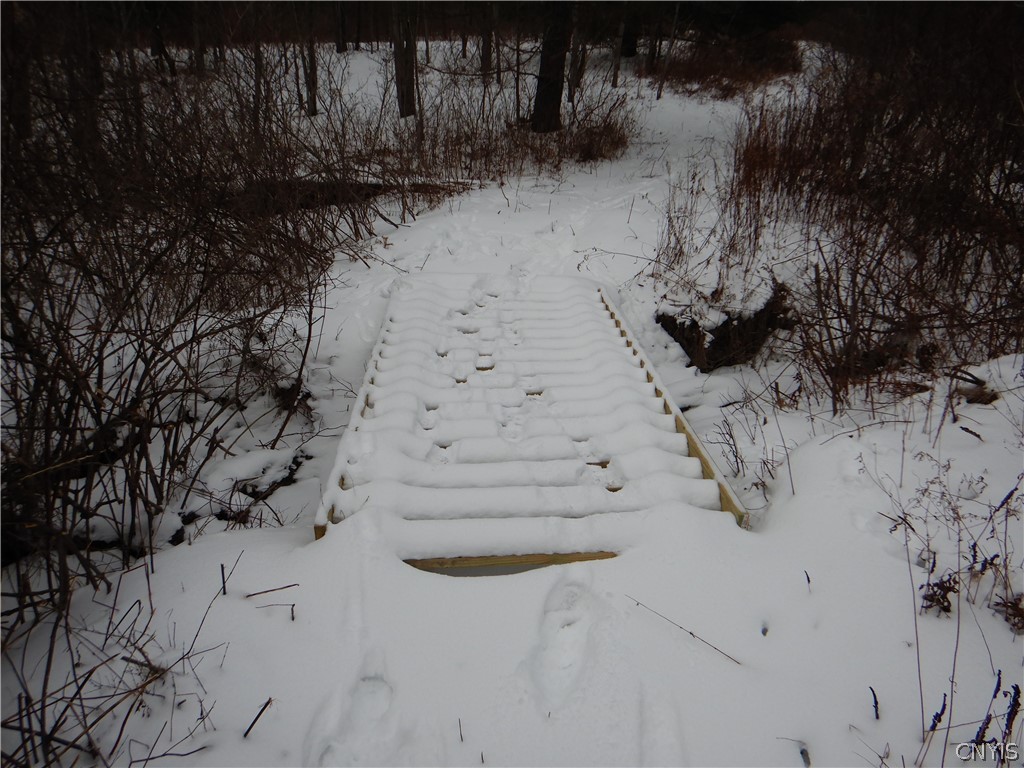 Newark Valley Newark Valley, NY 13811 - Photo 8 of 37