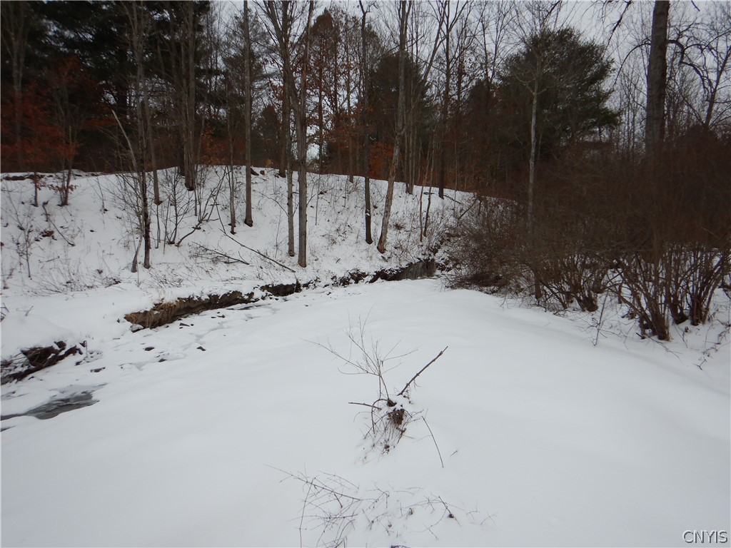 Newark Valley Newark Valley, NY 13811 - Photo 9 of 37