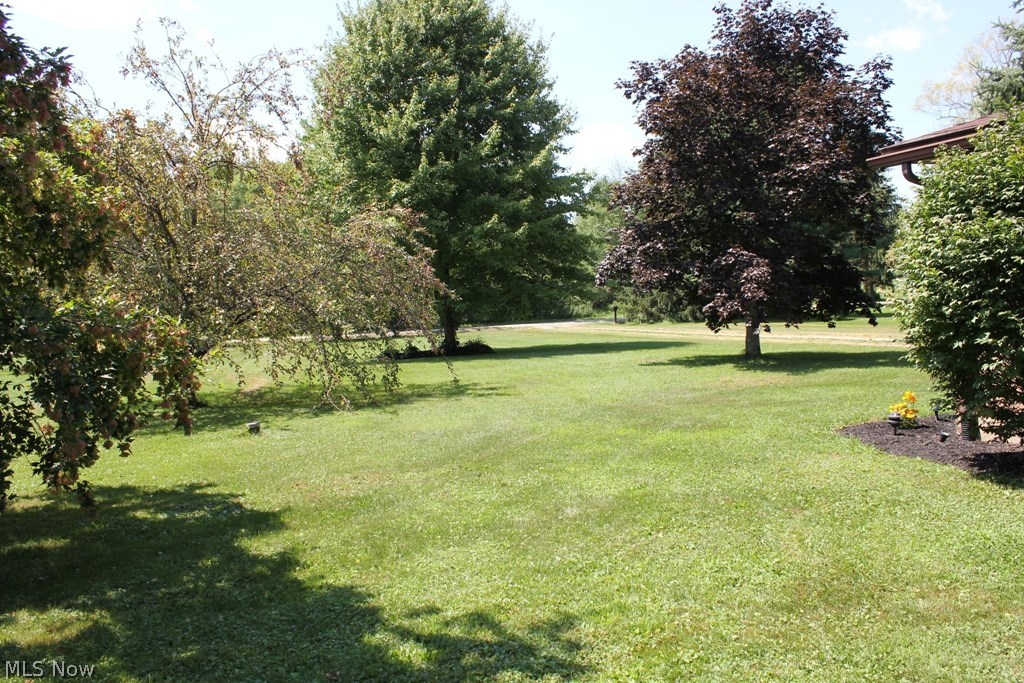 8090 Cooley Road Ravenna, OH 44266 - Photo 2 of 23 Front yard view