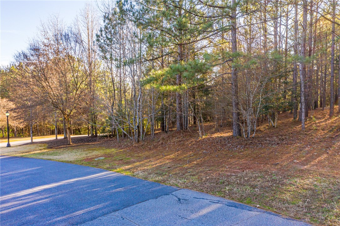 322 Golden Bear Drive Sunset, SC 29685 - Photo 11 of 26