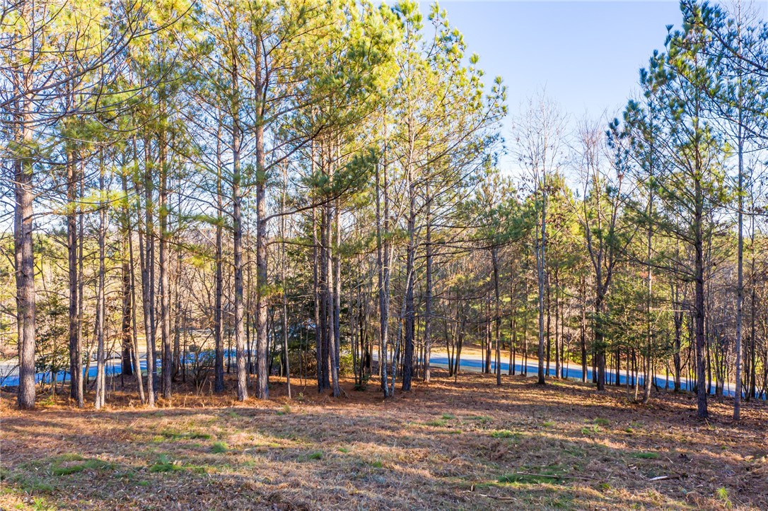 322 Golden Bear Drive Sunset, SC 29685 - Photo 12 of 26