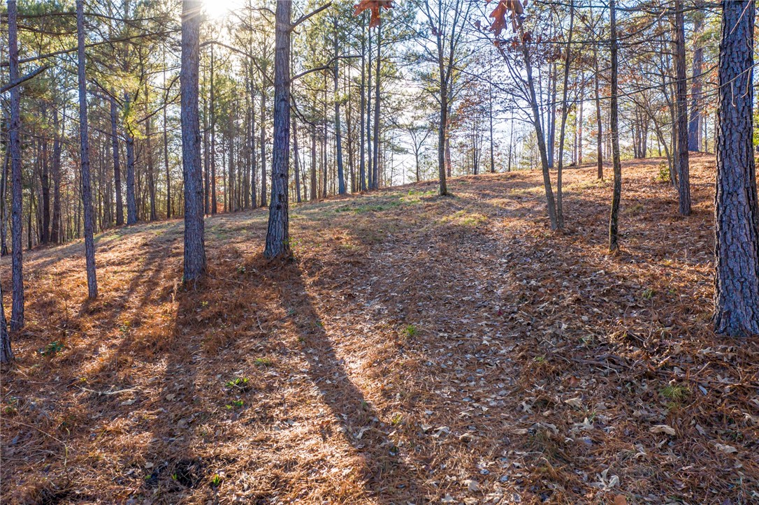 322 Golden Bear Drive Sunset, SC 29685 - Photo 13 of 26
