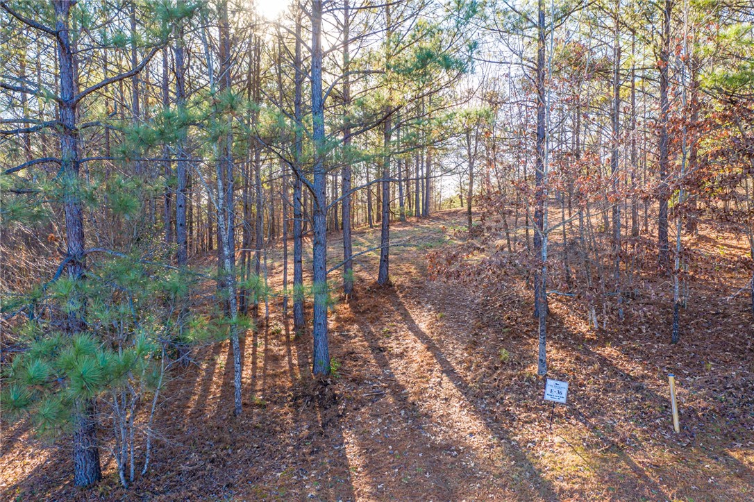 322 Golden Bear Drive Sunset, SC 29685 - Photo 14 of 26