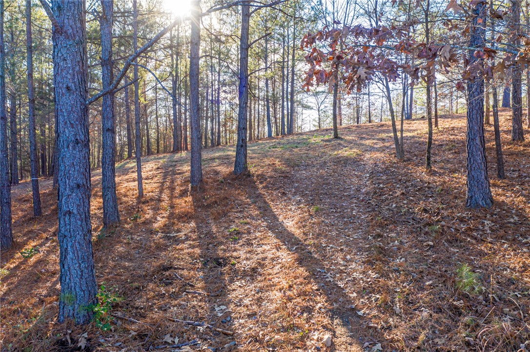 322 Golden Bear Drive Sunset, SC 29685 - Photo 15 of 26