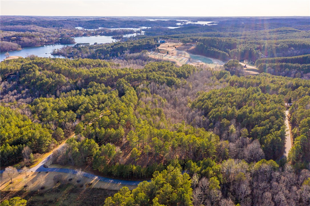 322 Golden Bear Drive Sunset, SC 29685 - Photo 16 of 26