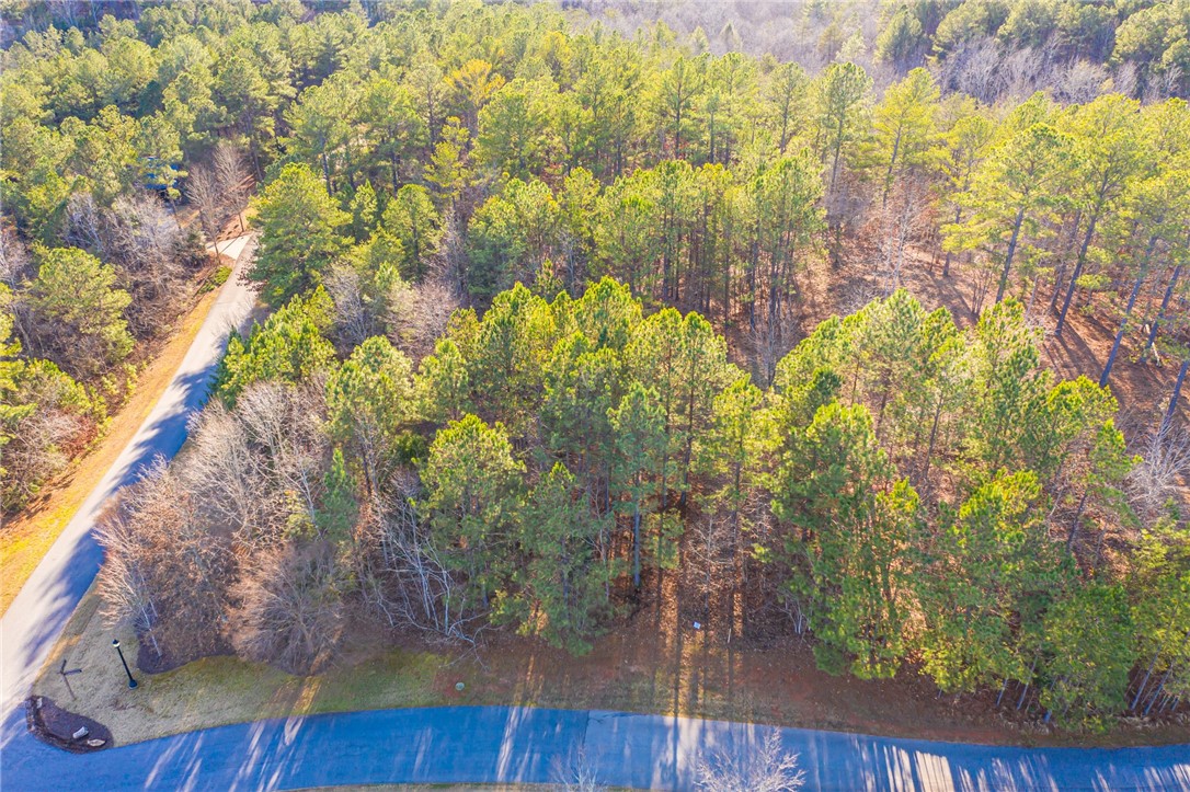 322 Golden Bear Drive Sunset, SC 29685 - Photo 2 of 26