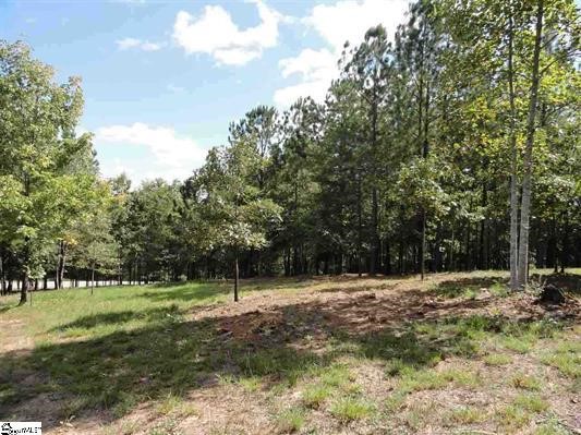 322 Golden Bear Drive Sunset, SC 29685 - Photo 3 of 26 Gently sloping buildsite with hardwood trees.