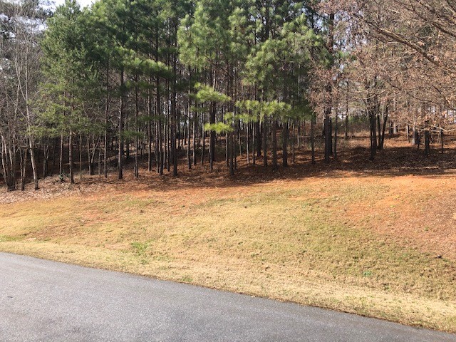322 Golden Bear Drive Sunset, SC 29685 - Photo 7 of 26 View up site from Augusta Way.