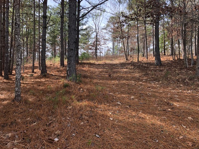 322 Golden Bear Drive Sunset, SC 29685 - Photo 8 of 26 Gentle slope of natural homesite, with views of ro